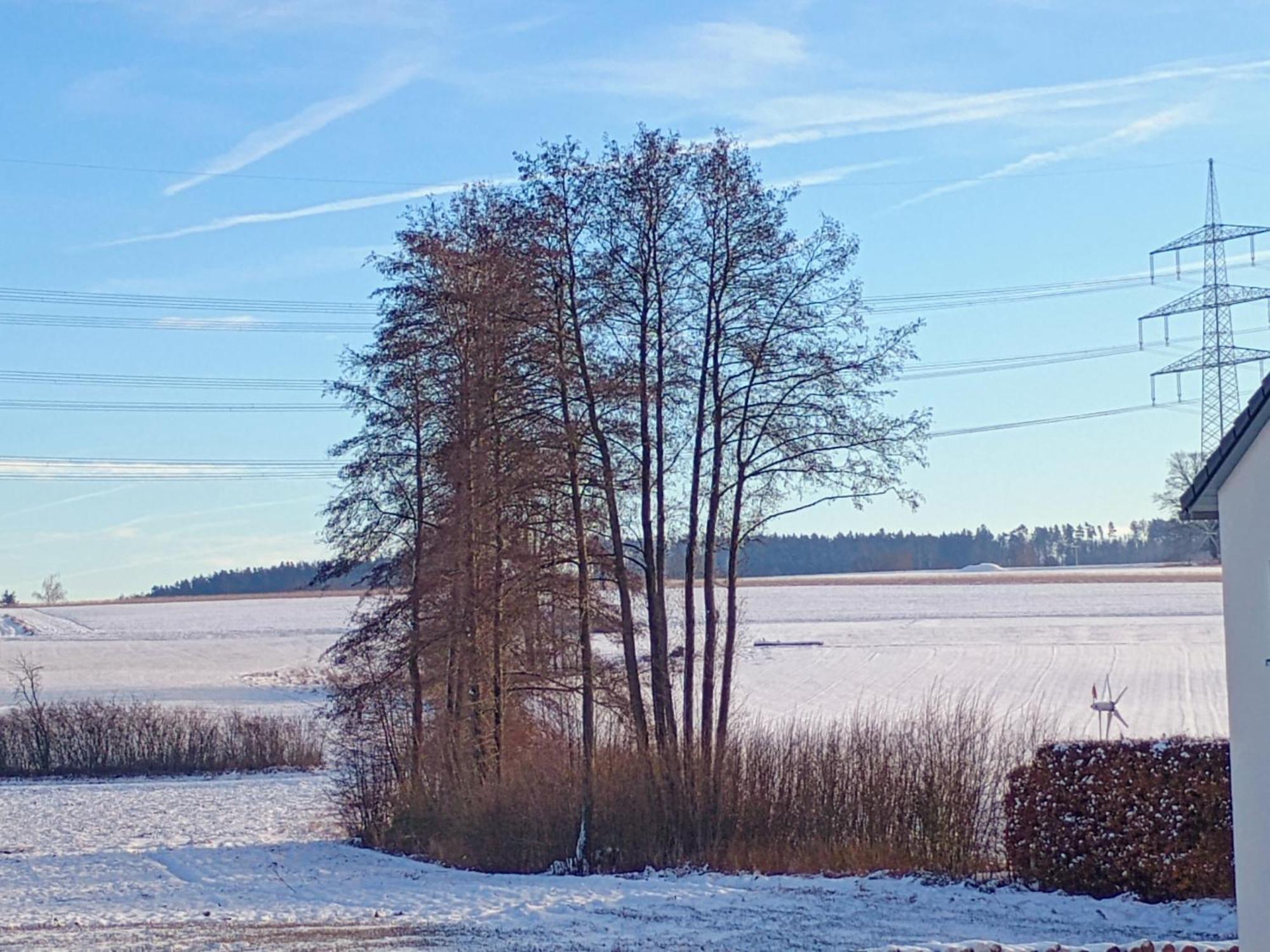 Monteurzimmer Beate Ackermann Hochstadt am Main Exteriér fotografie